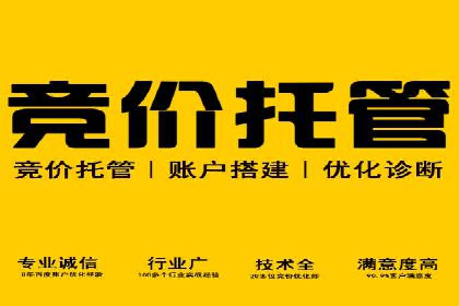 SEM营销推广案例分析：行业领跑者如何打造品牌